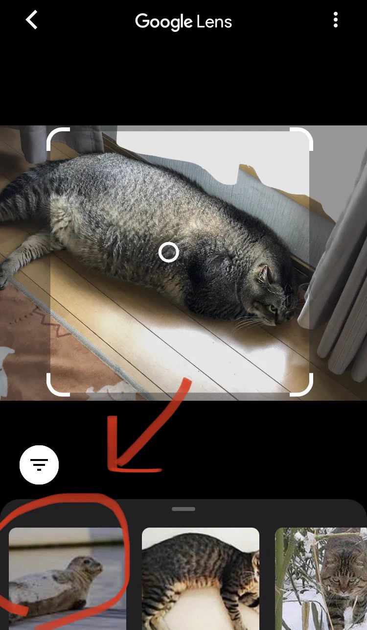 @kinugoshispark Googleもそう言ってる 