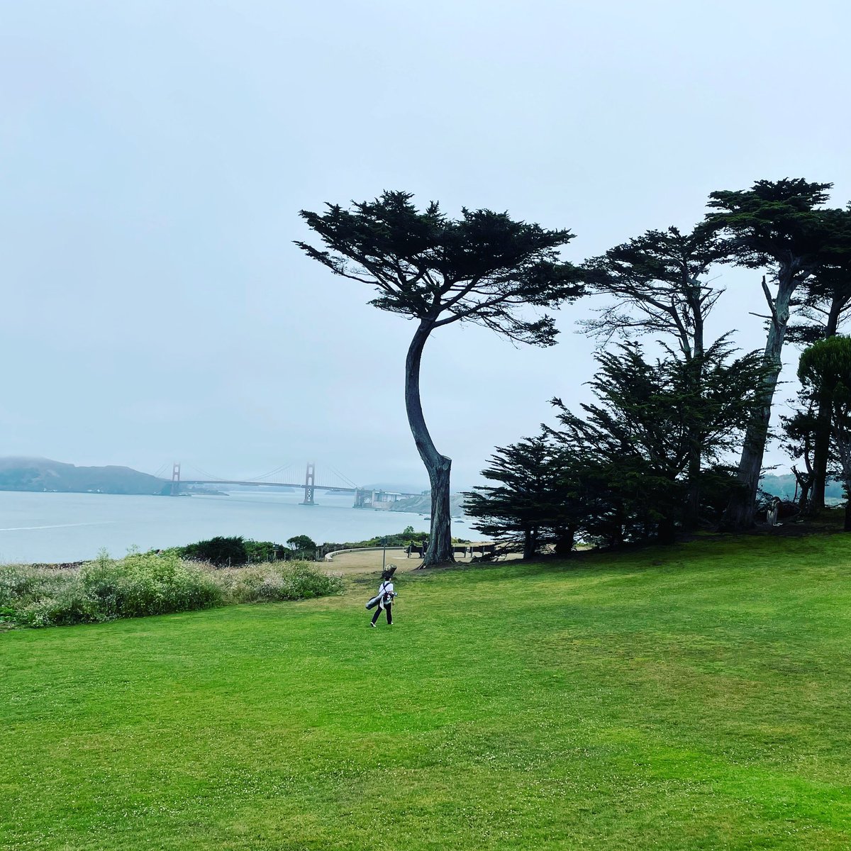 CbrawleyChris's tweet photo. @lincolnpark_SF great start to the holiday weekend #ncga #sfgolf #tillgang https://t.co/IzmggHP9kq