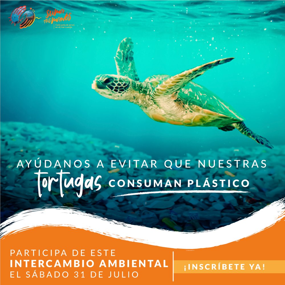 SumaTusManosCol's tweet photo. Los océanos te necesitan, súmate a nosotros en esta bonita travesía donde vamos a limpiar nuestras playas para aportar a la conservación ambiental y reducir el impacto que dejan los desechos. Regístrate ahora en https://t.co/Z1s21etBoH  #SumaTusManos https://t.co/A2kGcYxz29