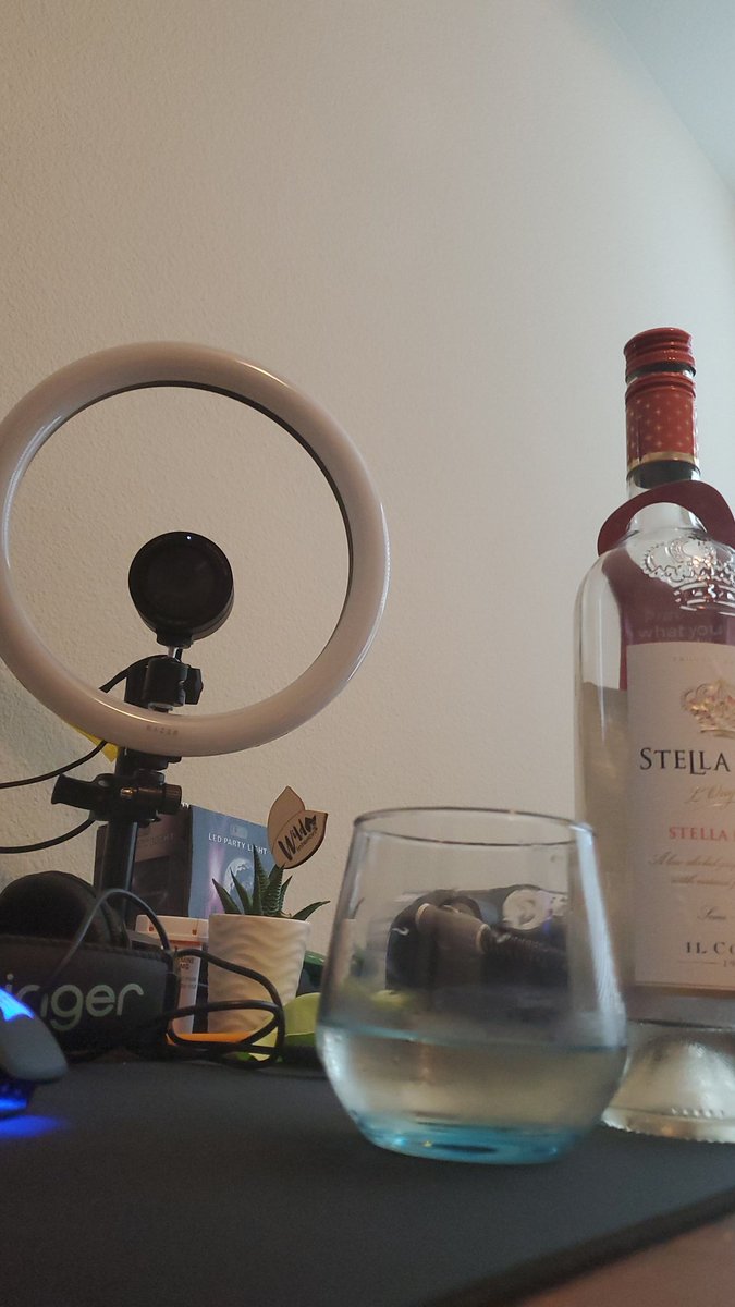 JayRthePTGamer's tweet photo. Getting wine ready for todays stream in 30 minutes, come sing songs and celebrate 90(ish) days on #Twitch with me! #streamwithadream #moscato #karaoke #cantsing #dontmatter https://t.co/GGguo9icFA