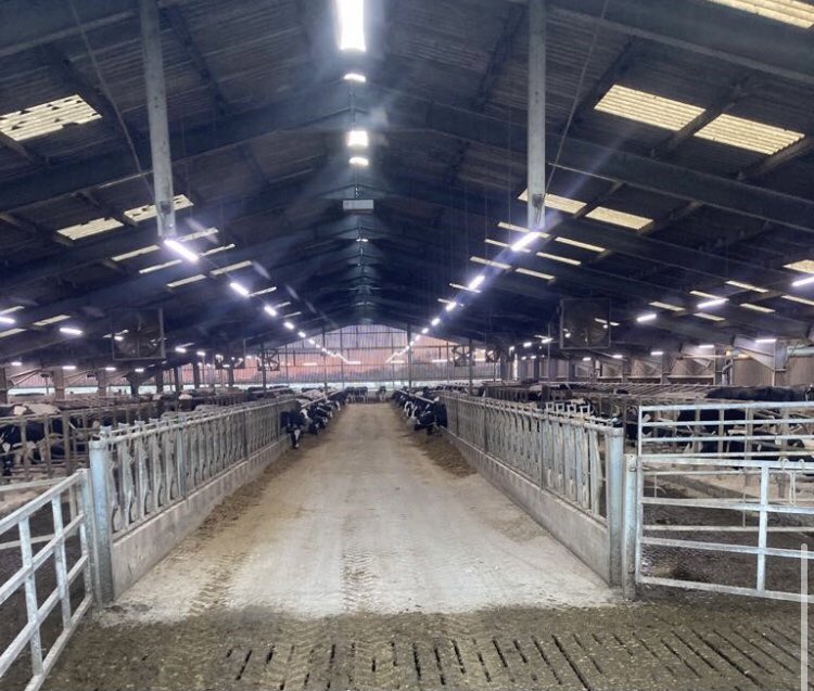 Becki Reay (@beckireay) on Twitter photo 🐄Are u a #herdsperson looking to work alongside an exceptional farm operator w. impressive cow & business performance?  
This client puts equal emphasis on the team & cows - ensuring both r provided w. what they need to b content & perform at their best!
barn-door.co.uk/job/sills-farm… 🐄Are u a #herdsperson looking to work alongside an exceptional farm operator w. impressive cow & business performance?  
This client puts equal emphasis on the team & cows - ensuring both r provided w. what they need to b content & perform at their best!
barn-door.co.uk/job/sills-farm…