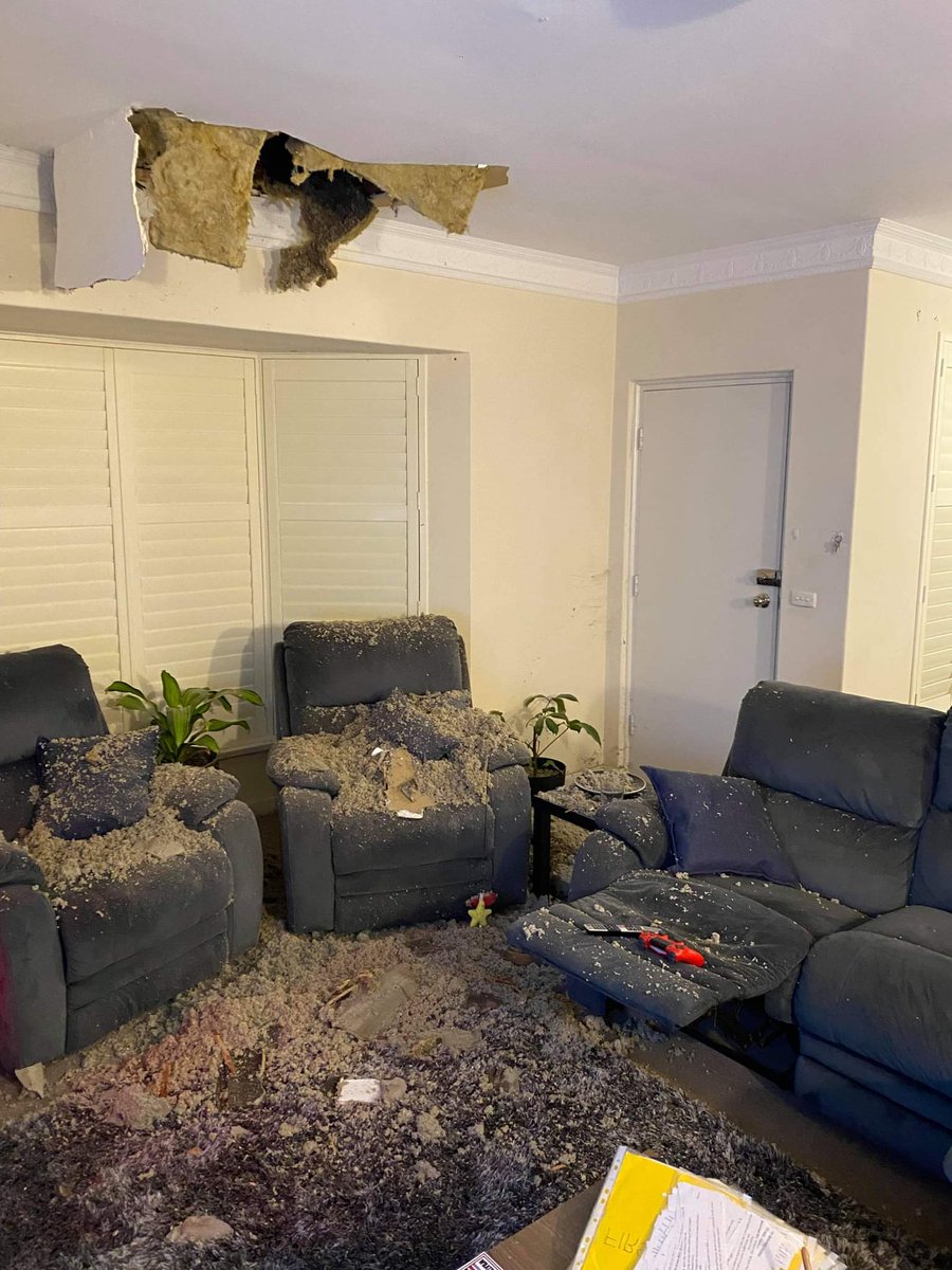 PatrickMajor_9's tweet image. Ash Brown and James Harrington have described the moment a tree fell on their unit at Kensington Gardens, damaging the roof and living room ceiling. James was lying on the couch at the time and lucky to escape injury. @9NewsAdel