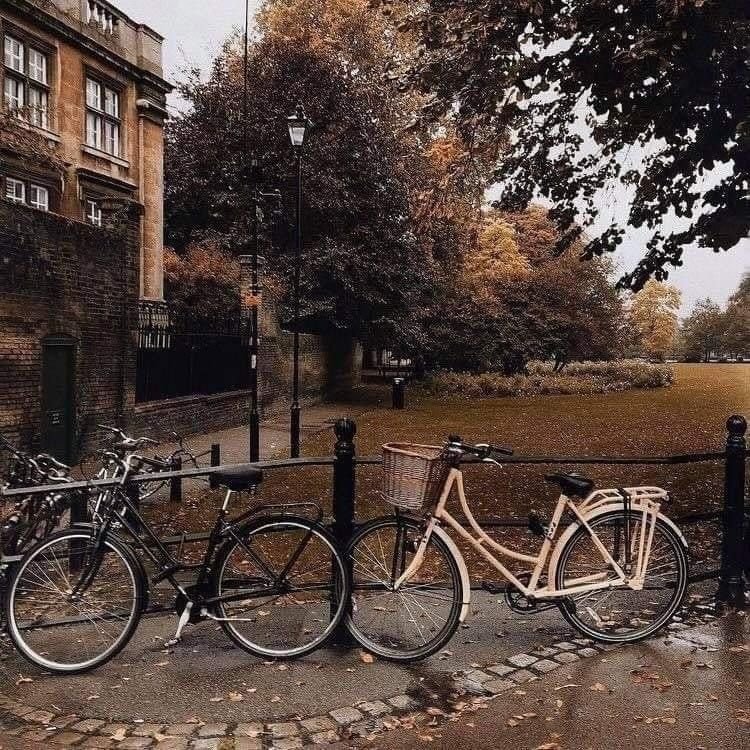 𝘾𝙤𝙯𝙮 𝙧𝙖𝙞𝙣𝙮 𝙙𝙖𝙮 𝙖𝙘𝙘𝙤𝙢𝙥𝙖𝙣𝙞𝙚𝙙 𝙬𝙞𝙩𝙝 𝙘𝙤𝙛𝙛𝙚𝙚 𝙖𝙣𝙙 𝙖 𝙗𝙤𝙤𝙠 𝙞𝙨 𝙨𝙪𝙘𝙝 𝙖 𝙢𝙤𝙤𝙙