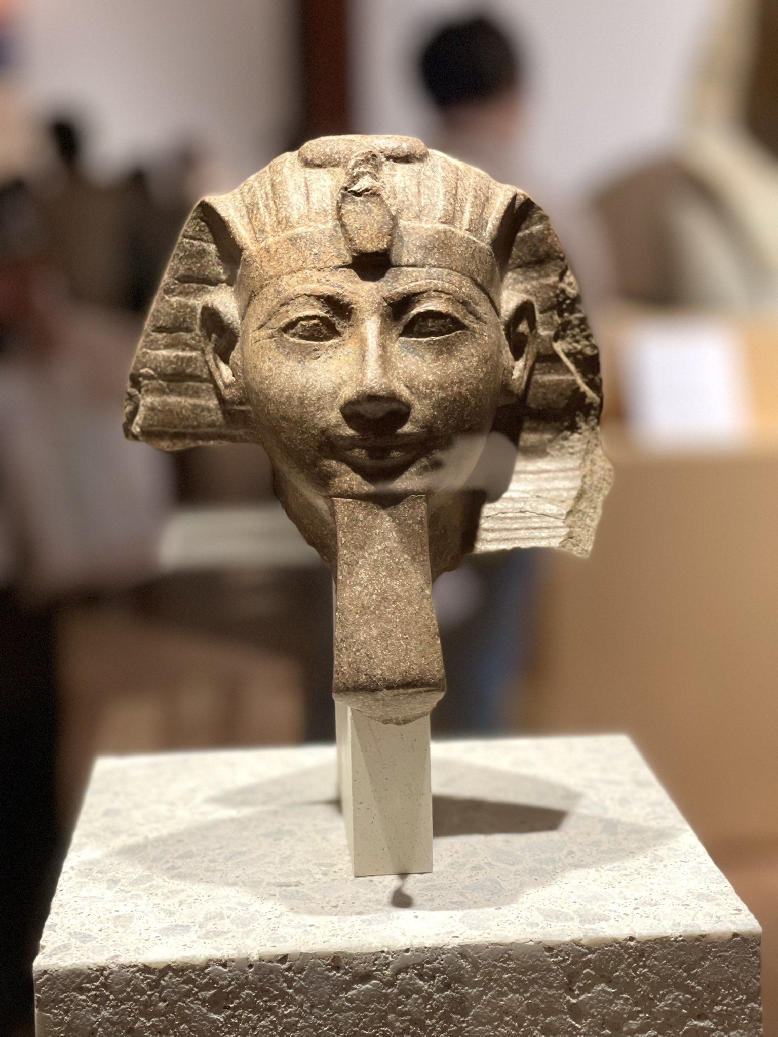 Shot 古代エジプト展は日本初公開が多い ハトシェプスト女王あるいはトトメス3世のスフィンクス像頭部 の説明文を読んでいると 夫の死後ファラオとして戴冠し男性の王としての装いで表現されたと ある 少し 宝塚を感じた一瞬 凪七さんっぽい