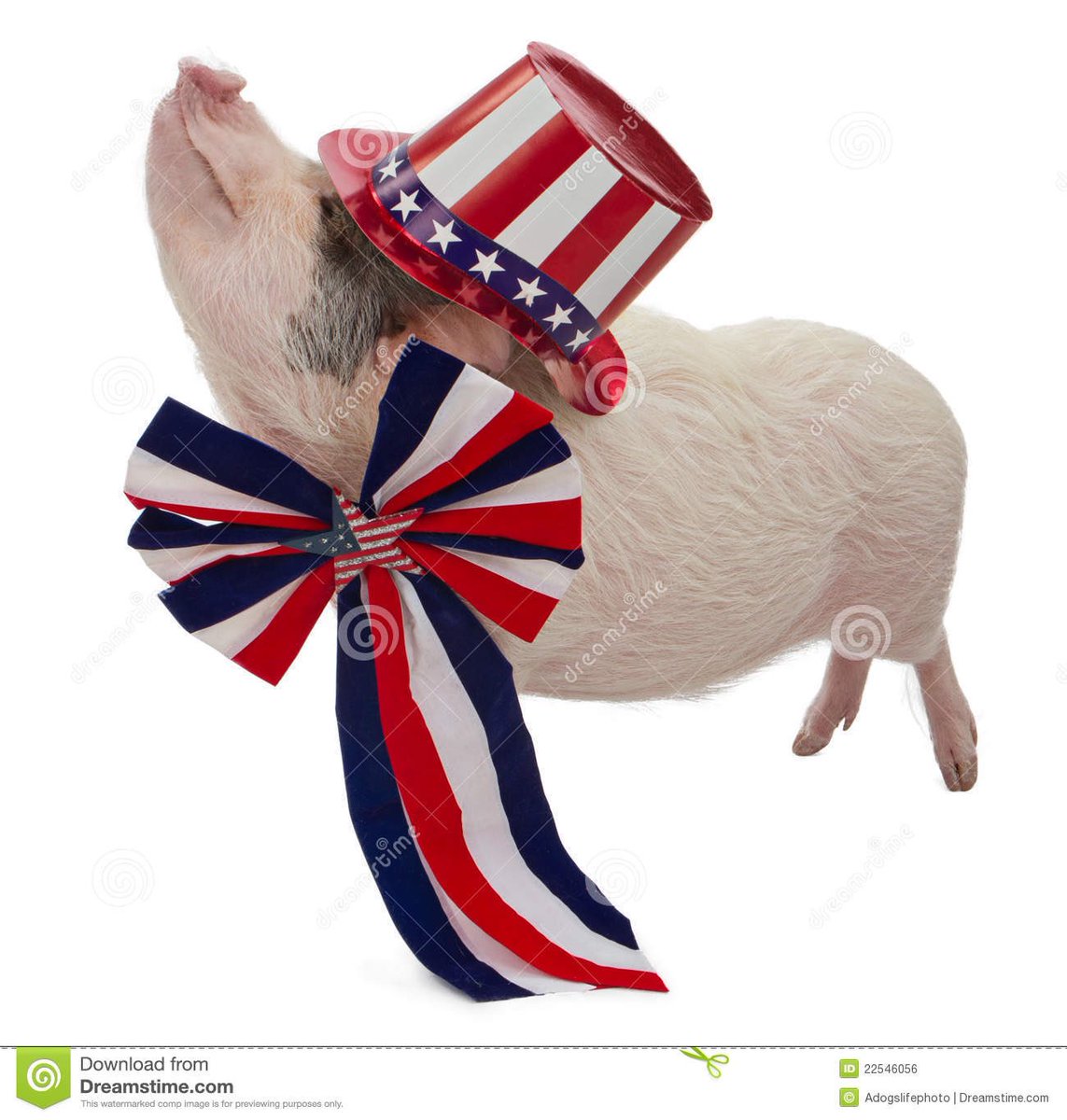 Happy 4th of July everyone get your tickets for our festival <a href="/FRESHTIX/">Freshtix</a>