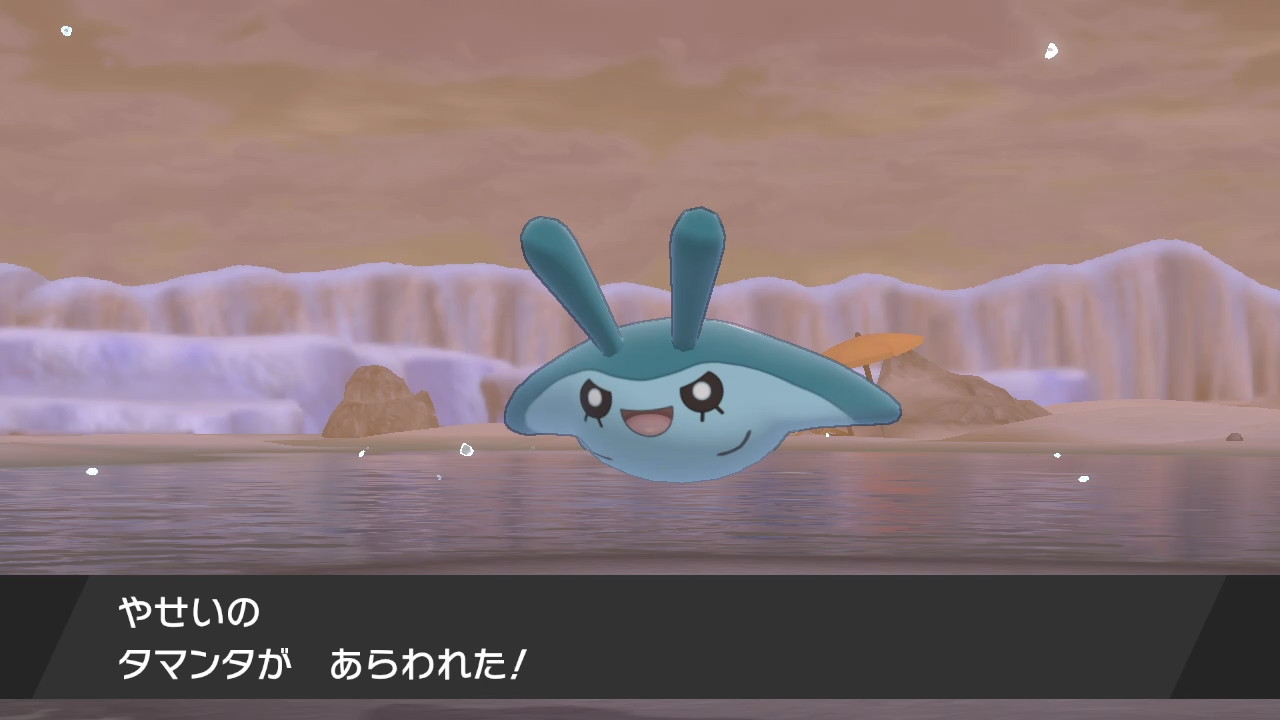 アマネ ﾎﾟｹﾓｿさん 剣盾野生で色タマンタが出てくれました さわやかな色合い良すぎ マンタイン系統大好きなので いつか釣りピチ色違いgetしたいな 1217回目でした ポケモン剣盾 Nintendoswitch T Co Aqd7etzlux Twitter