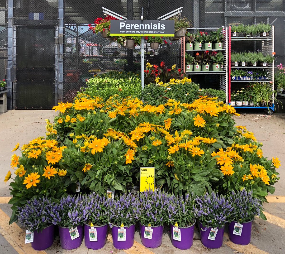 HDamandaPPS's tweet photo. I love this view 🥰🥰🥰 See all of this at your local Home Depot - Simpsonville, SC. HD1124 #MetrolinaProud #PPSstrong ⁦@pps_s_atlantic⁩ ⁦@PPSinHD⁩ ⁦@BobbyBoaenTHD⁩ ⁦@Stephen_E_Camp⁩ https://t.co/wHfG5MJT9H