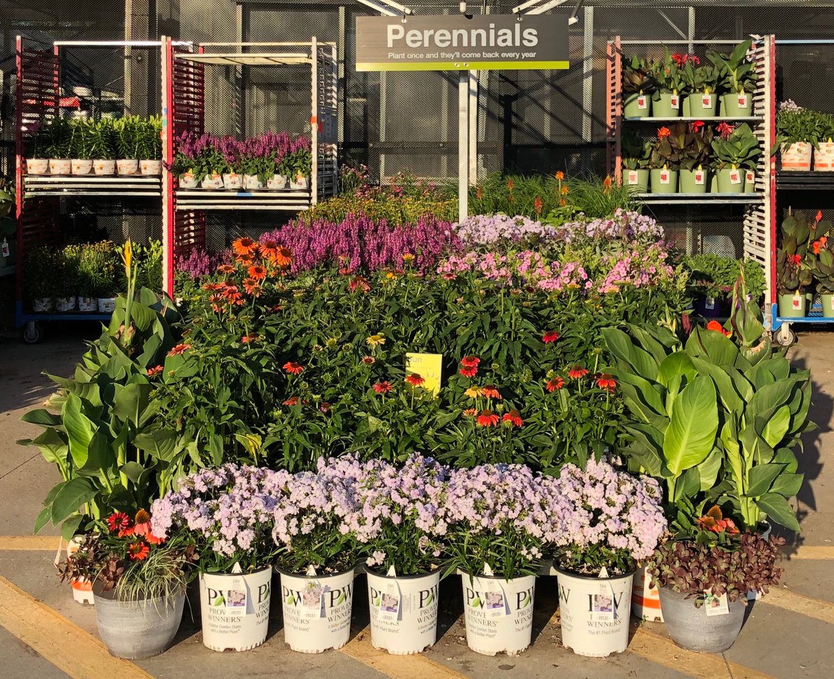 HDamandaPPS's tweet photo. I love this view 🥰🥰🥰 See all of this at your local Home Depot - Simpsonville, SC. HD1124 #MetrolinaProud #PPSstrong ⁦@pps_s_atlantic⁩ ⁦@PPSinHD⁩ ⁦@BobbyBoaenTHD⁩ ⁦@Stephen_E_Camp⁩ https://t.co/wHfG5MJT9H