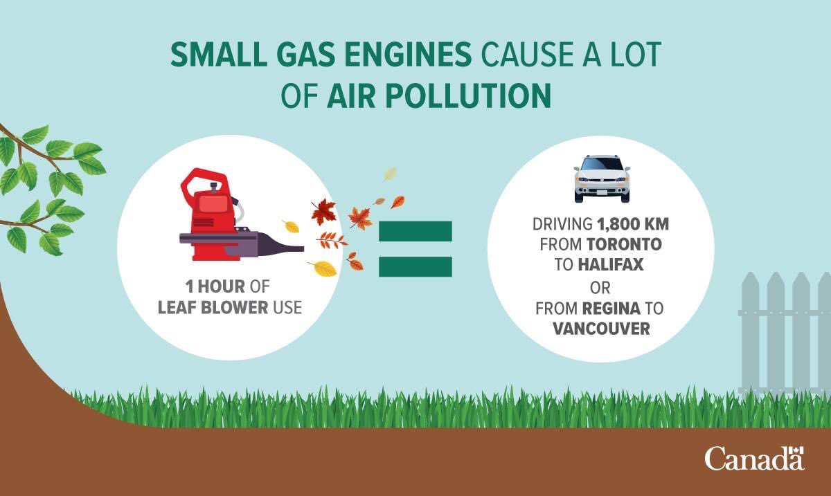 MontgrainL's tweet image. Yes, we all pay for our neighbour’s obsession for the perfect lawn and landscapers bad “habits”. It must be dealt with just as second hand smoke. We are all suffering from plain ignorance and pure negligence of our governments and health officials. #leafblowerban @JonathanWNV