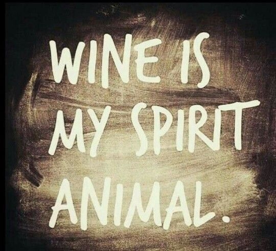 KCKleinbooks's tweet photo. #Happy Hour w/ KC 🍷🍷
#wine #winelovers 
happy friday! https://t.co/gjtBFBNsvF