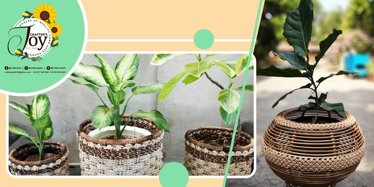 CraftersJoyPH's tweet photo. Good day Plantitas! 🌱
Today is the perfect time to re-pot those growing shrubs and decorate your backyard garden! 🏡
We have a selection of specially-designed handcrafted cornhusk planters to choose from..
#CraftingLivelihood
#SupportLocal
#SustainableCollection https://t.co/jGIGNv8nuC