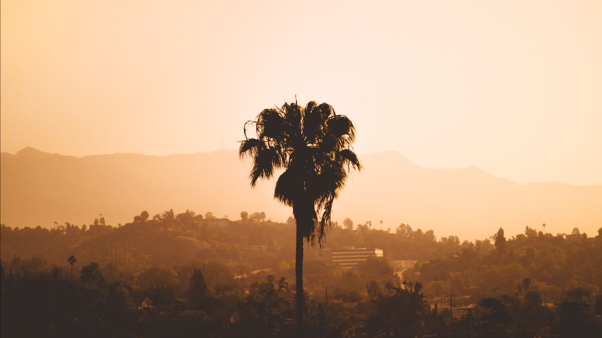 Board Meeting 7/6 + Tiny Homes + GEC + Reduce Plastics + Join A Committee. - mailchi.mp/ernc/ernc-news…