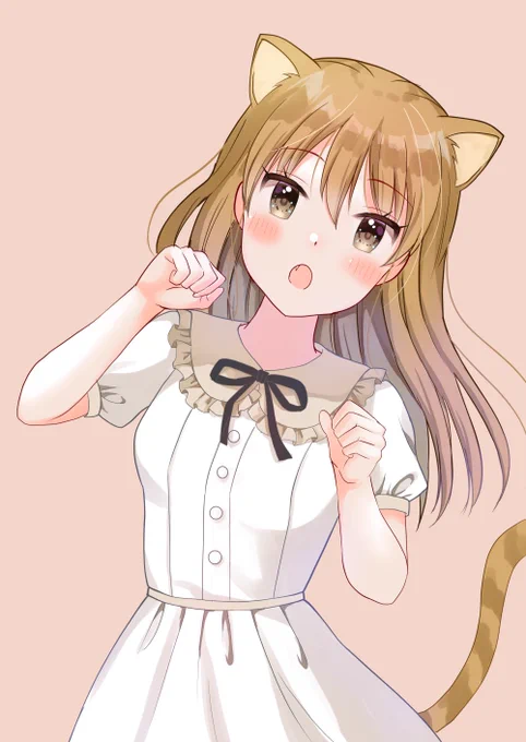 にゃー🐱 