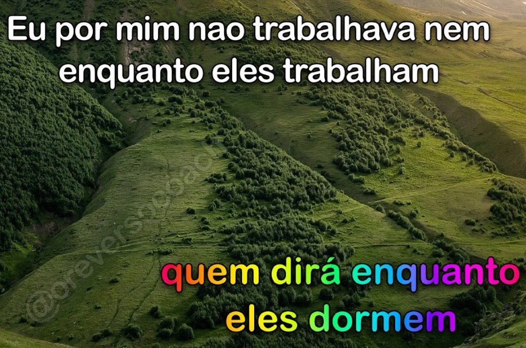 ruda_ofc's tweet photo. eu ein https://t.co/JW6UWBOKC3