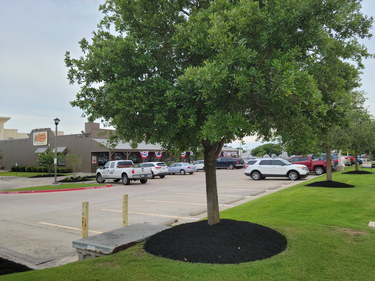 We appreciate our long time customer <a href="/CrackerBarrel/">Cracker Barrel</a> Bryan, TX for their continued business. Touched up the landscape that was damaged from the winter storm. The crews appreciated the great lunch as well! 
#BVLandscapes #BeautifyTexas
<a href="/LandscapeTexas/">TNLA</a>