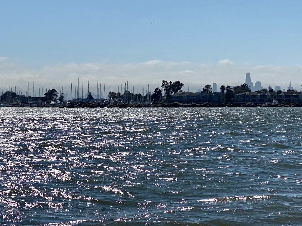 AntoninaPantera's tweet photo. #SanFransisco Bay ☀️ https://t.co/dBBVdF99e1