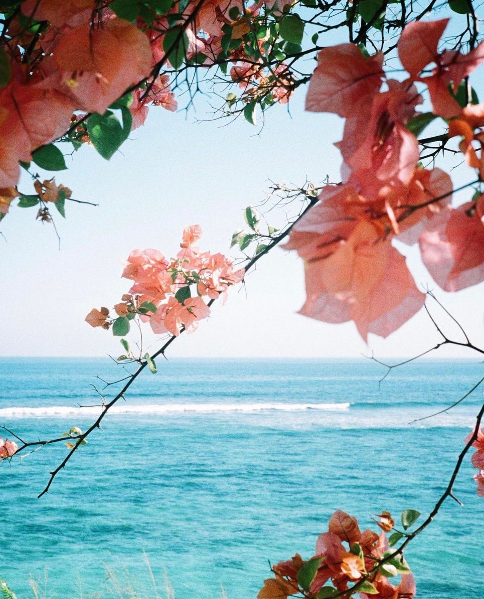 Bali, Indonesia 🇮🇩🌺