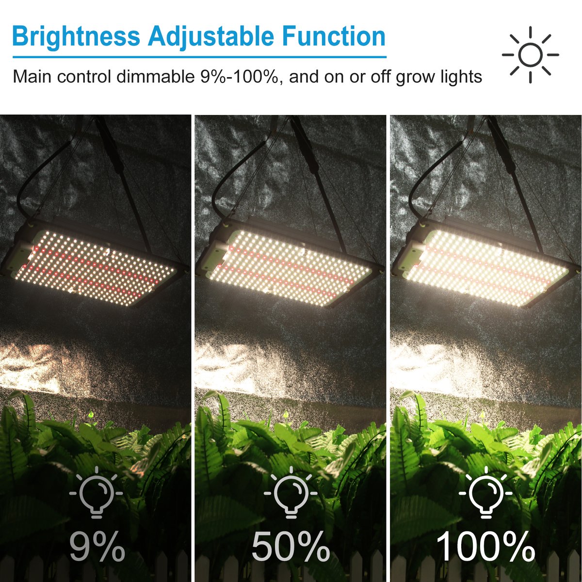 surmountor's tweet image. New Arrivals! Smart LED Grow Light Group Controller from Surmountor. Multifunction with 2 control ways.
* Turn ON/OFF.
* 9%-100% dimming
* Timing
* RJ port, manual control or wifi control for your choice
* Wifi control by SPIRIT-WIFI
#LEDGrowLightGroupController #GrowLightControl