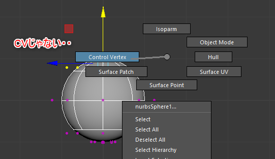 x_pokoponmaru_x's tweet image. わ・・・表記変わってるやん・・
NURBS の　CVじゃないやん。🥺
#Maya2020