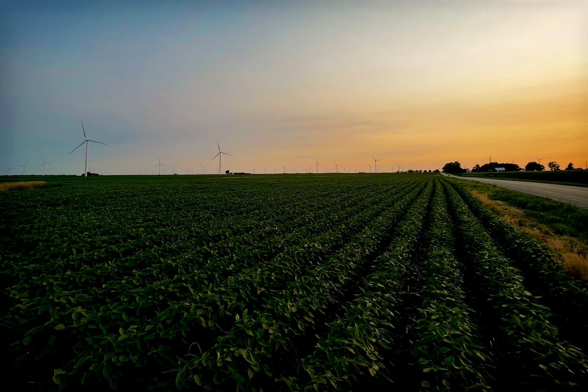 brianmmunoz's tweet photo. Gotta love quiet summer evenings on #Route51 in central #Illinois. https://t.co/HxjmPL6cFl