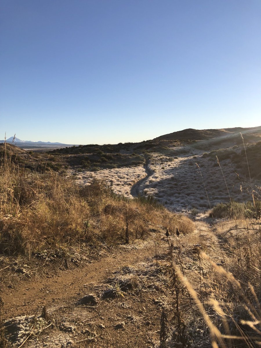 SMA16 Wiremu Moffitt, DSD tweet media