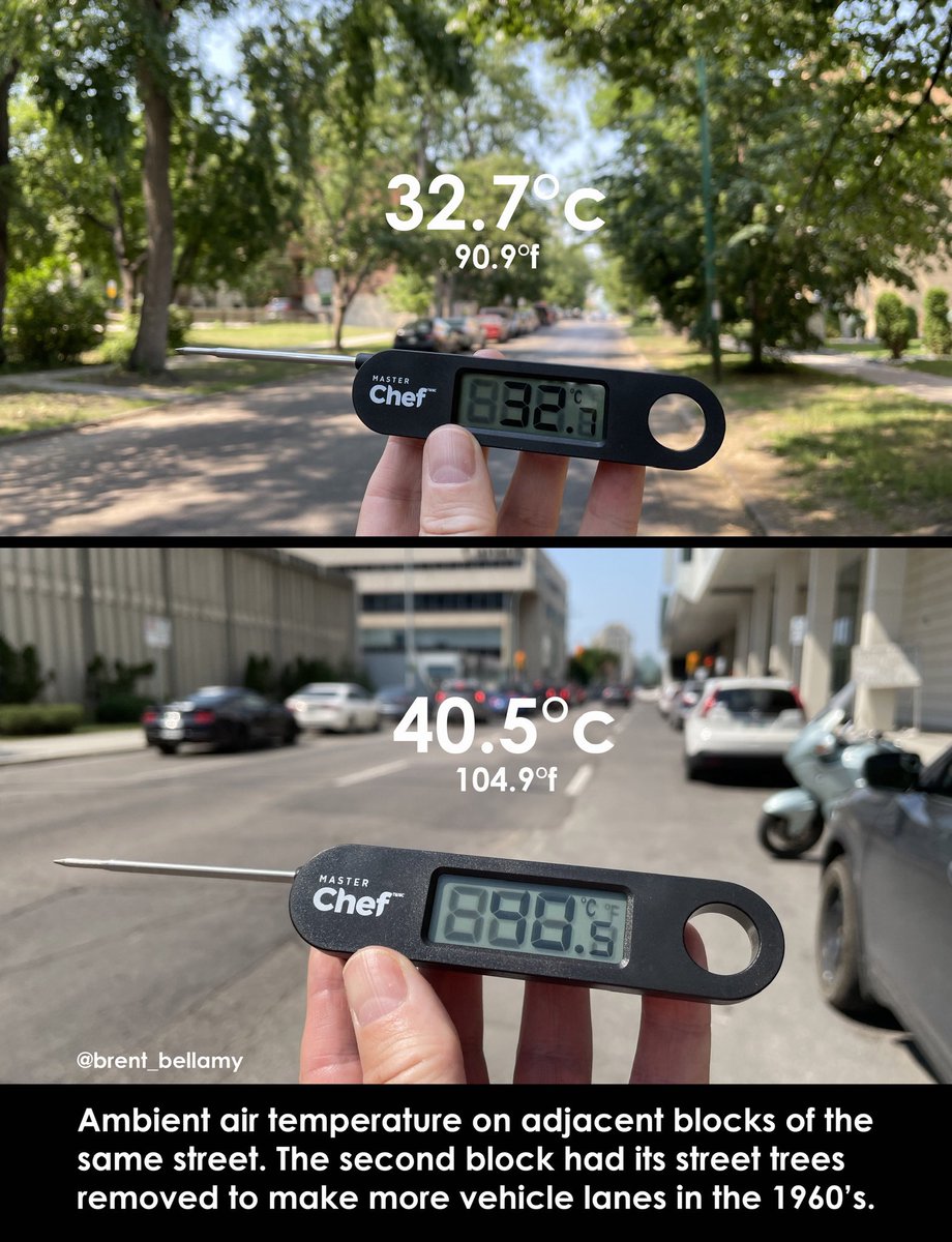 Air temperature on two adjacent blocks of the same downtown Winnipeg street today. The second block had its street trees removed in the 1960’s to add car lanes. 2/2