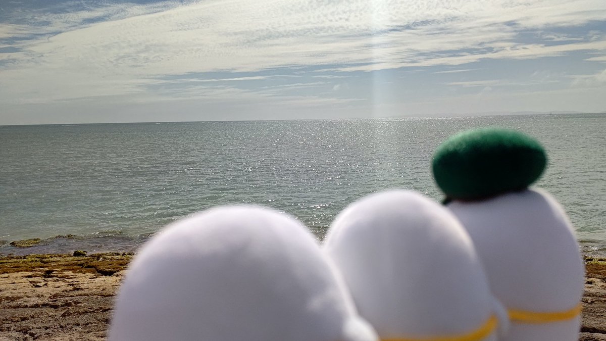 グレーさんの病気が治りますようにのtwitterリアルタイム検索結果 Meyou ミーユー