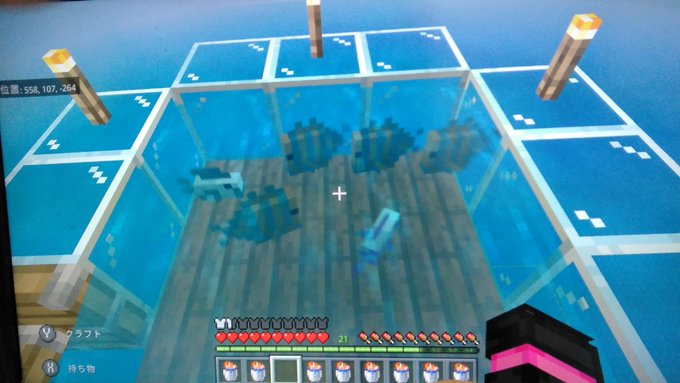 マイクラでフグの入手方法や確率は バケツの場所も紹介 リンの日記