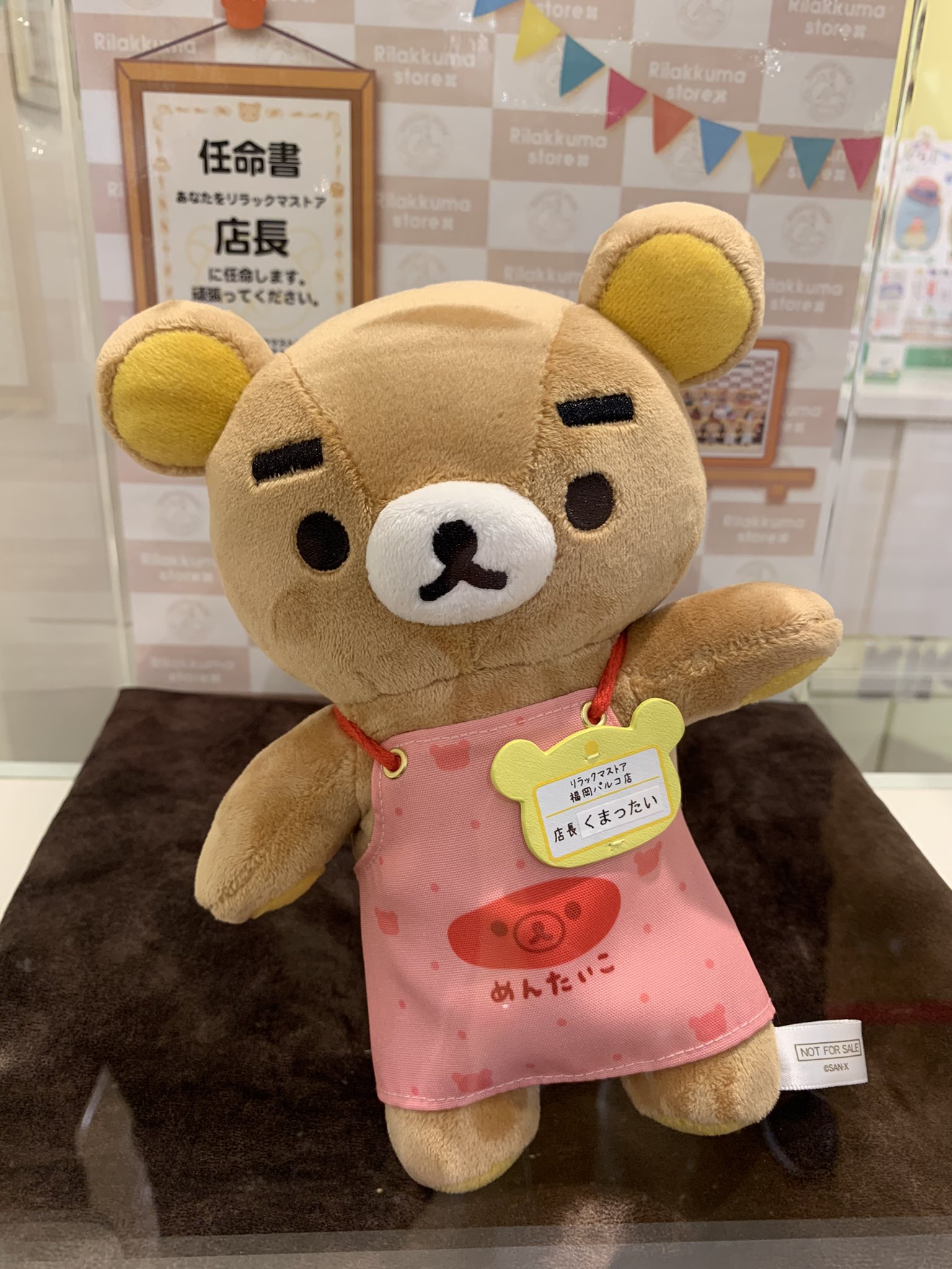 リラックマストア店長/くまったい・福岡パルコ店 ト情報 リラックマストア店長/くまったい・福岡パルコ店 ト情報