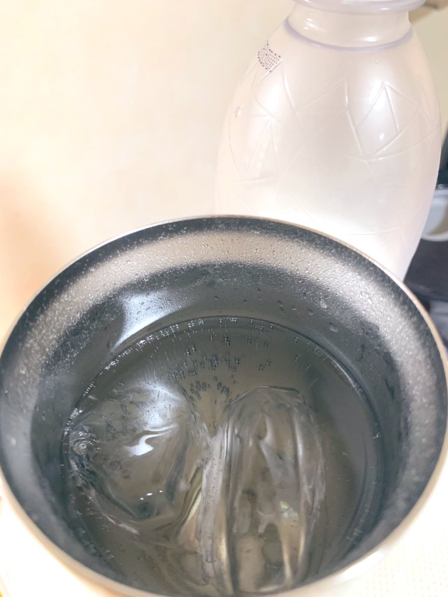 梅シロップ18日目 氷砂糖はもう残り僅か 今日500mlのセラーメイトの 調 片山陽介のイラスト