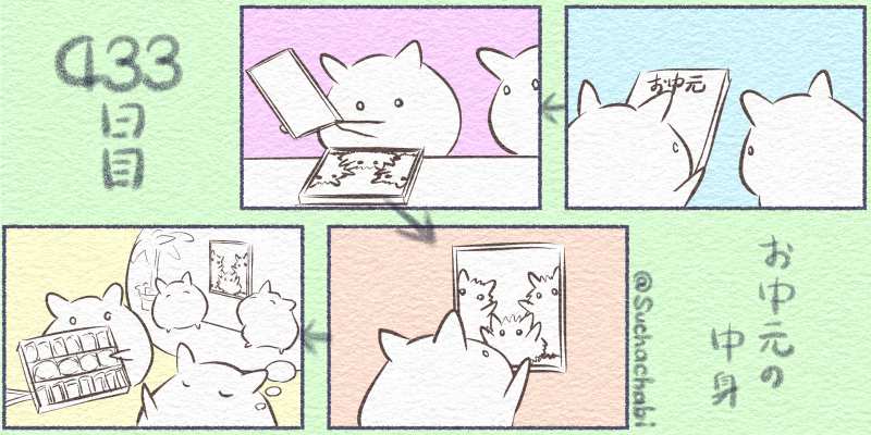 433日目 お中元の中身 