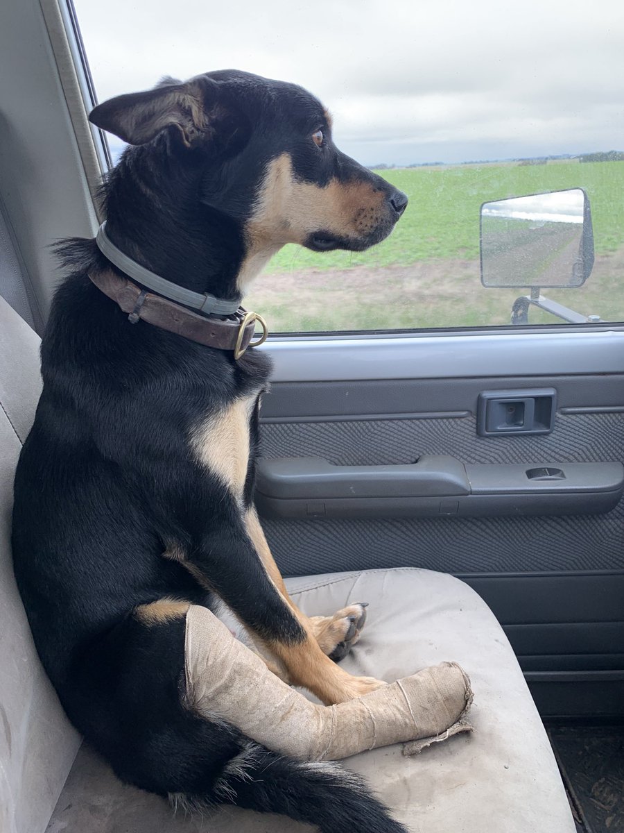 2Stacky's tweet image. Upside of not being able to work I get the front seat