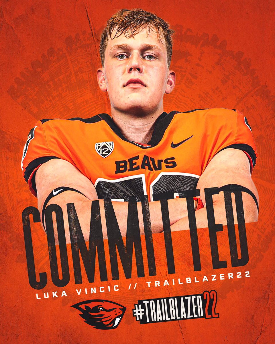 Luka Vincic tweet media