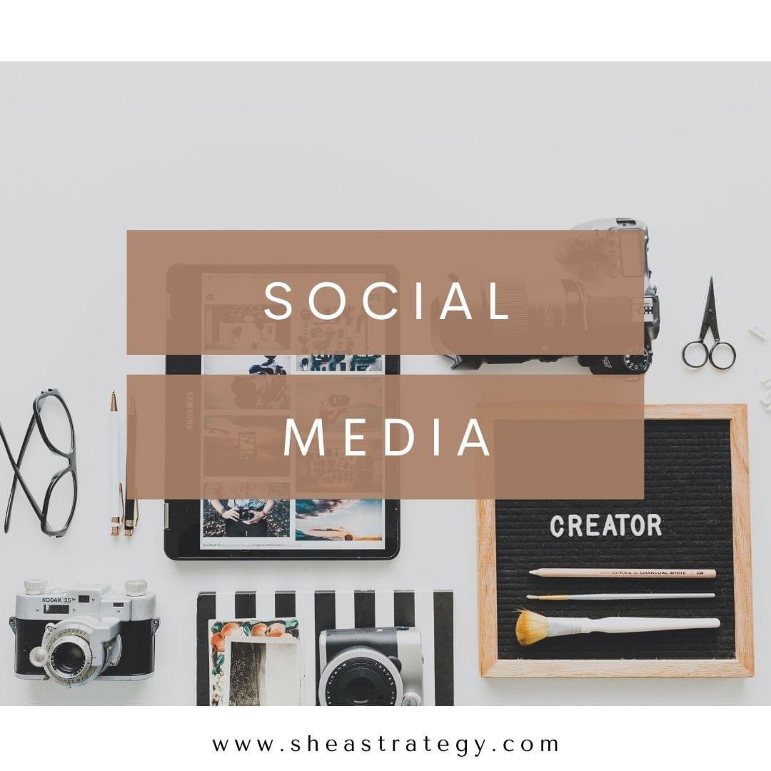Follow <a href="/TaeliReistad/">T. S. T. Reistad</a> of sheastrategy.com 😎