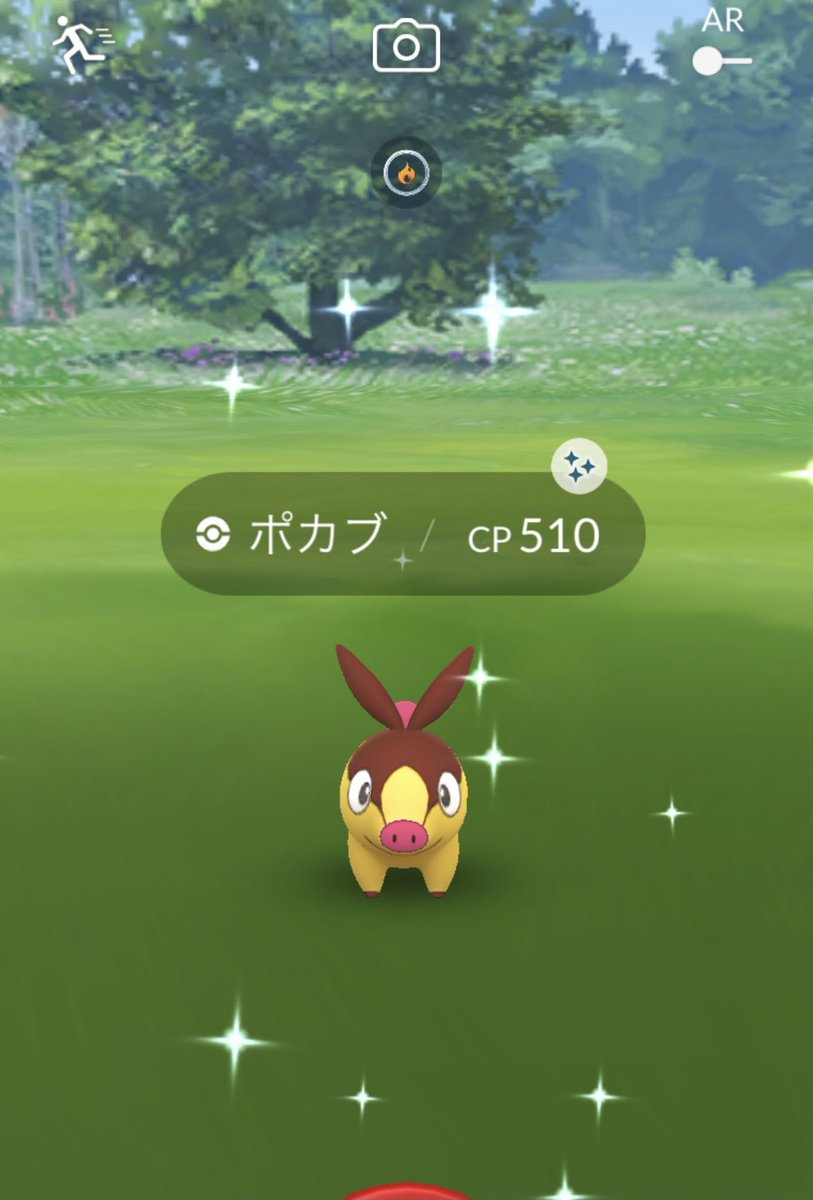ポカブ Hotワード ポカブ Hotワード