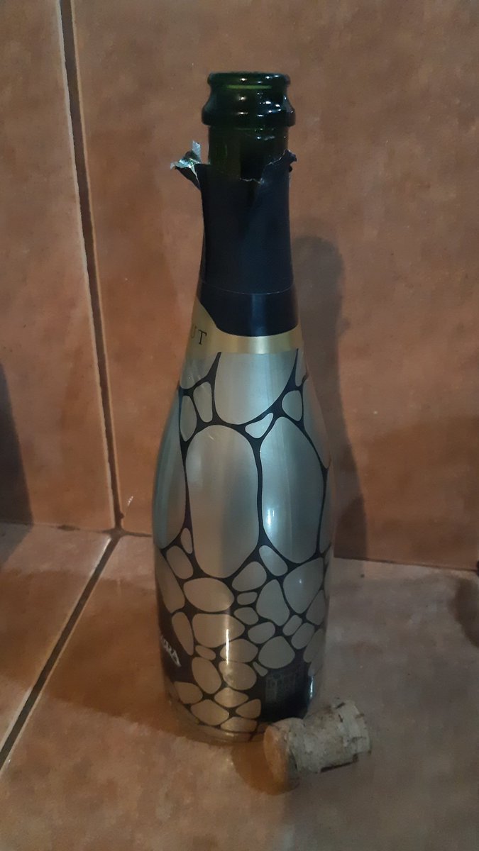 💛☀️ Announcement!☀️💛  I am absolutely over the 🌜to officially announce that I am represented by Dan Cramer <a href="/FlanneryLitera1/">FlanneryLiteraryAssociate🏳️‍🌈🏳️‍⚧️</a>. Popped some bubbly with my sweetheart to celebrate🍾. Next stop - submissions! Adelante/ onward!!! Pt 1/3