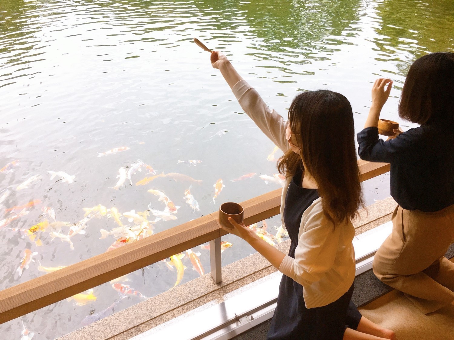 迎賓館赤坂離宮 Akasaka Palace Twitterren 鯉の餌やりツアー 通常の和風別館のガイドツアーに加えて 賓客と同じように広縁から鯉の餌やりを体験することができる 鯉の餌やり ツアーを現在開催中です 広縁で手をたたくと100匹以上の錦鯉が集まってくる様は