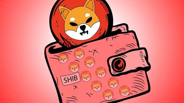 @ShibaArchives in the pocket