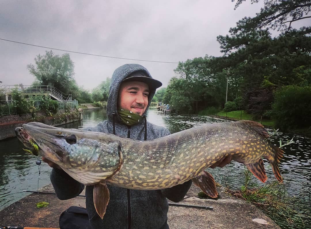 HCRFISHING's tweet photo. Croc🐊 alert🚨
This 15+lbs 93cm river monster is the biggest fish ive had on my light rod the daiwa gekkabijin 0.5-7g what a fish for a rod of this size and what a battle i had getting her in! 
Habe a great weekend everyone! 
#esox #pike #pikefishing #lurefishing #predatorangler https://t.co/1o8jyh6Amo