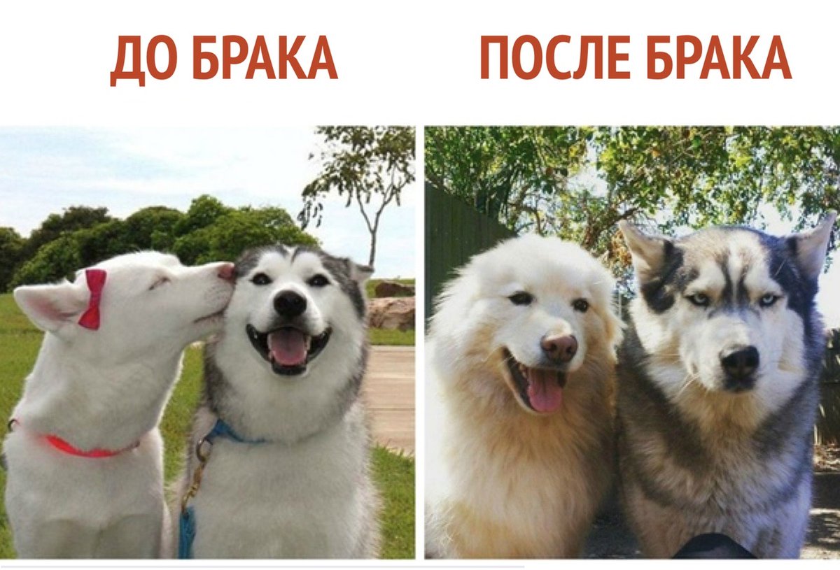 E5W1fJ0X0AIIAha?format=jpg&name=medium