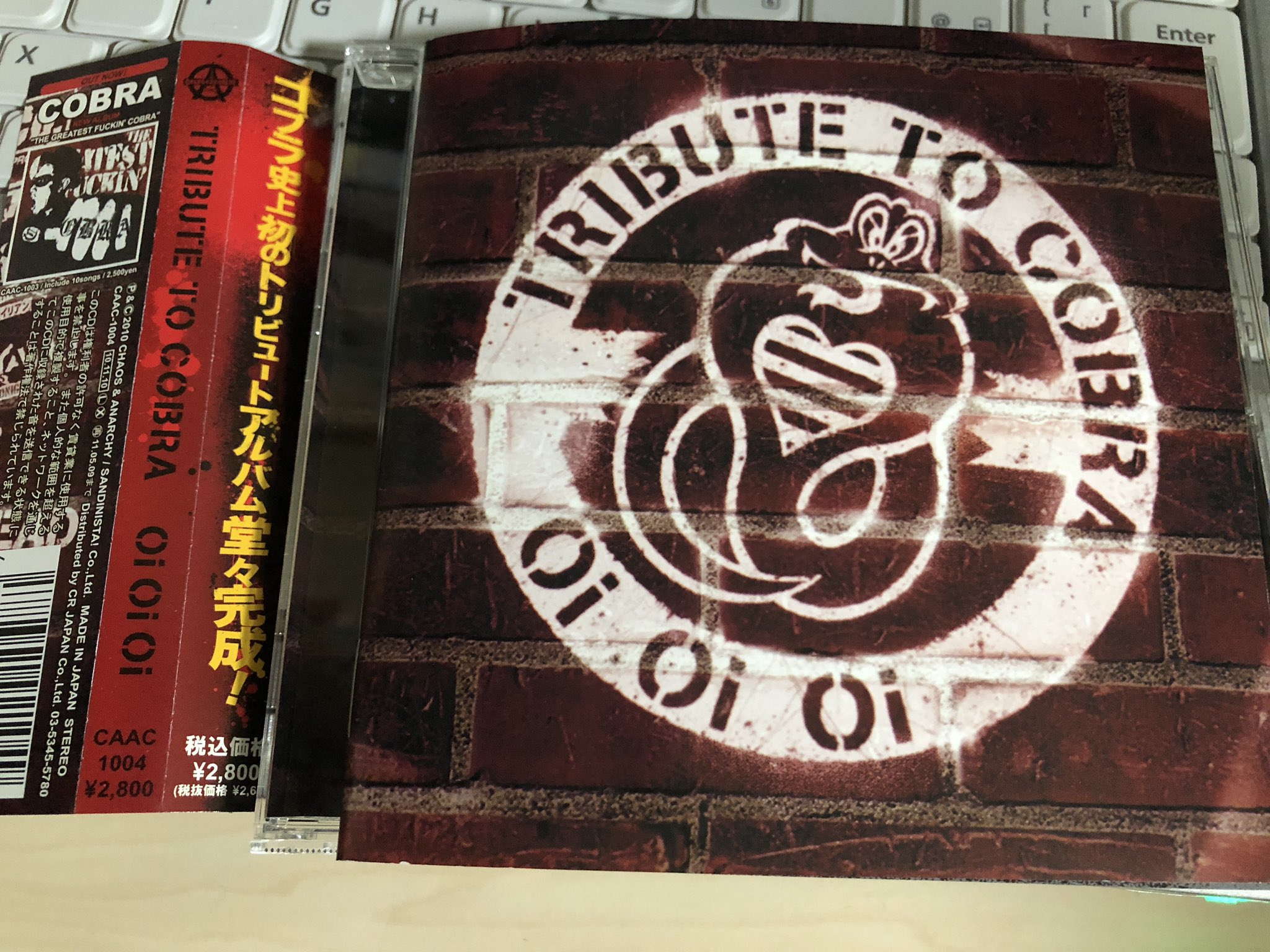 Jpパンクロックファン On Twitter Junior Ballad Of Cobra ジュニアの曲 といっても違和感ないアレンジが素晴らしい 他のバンドも良い アルバム収録のバンド名と曲目リスト Https T Co 3vtkurhz1b Https T Co Slpwmfsucw Twitter