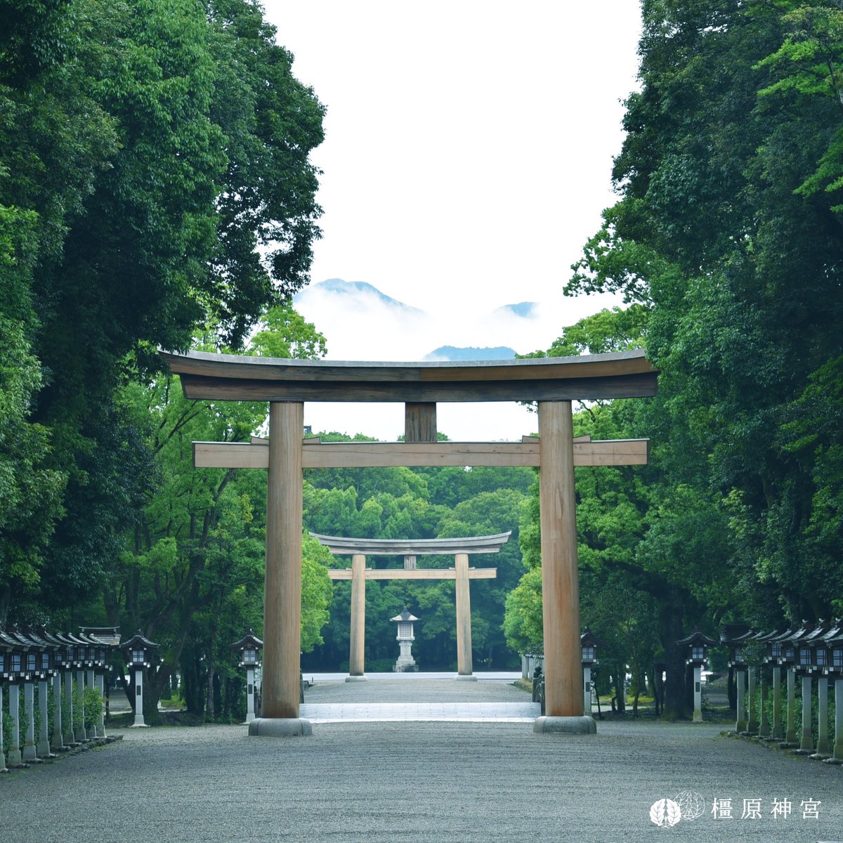 橿原神宮 公式 Kashiharajingu Kashihara Jingu Twitter 橿原神宮 公式 Kashiharajingu Kashihara Jingu Twitter
