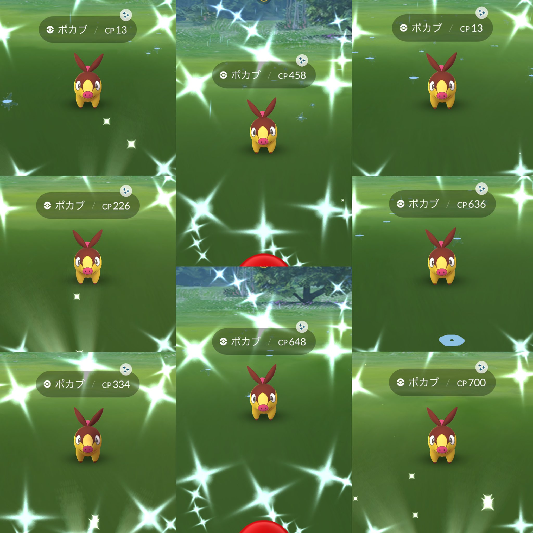 さや コミュデイお疲れ様でした ポカブの色違いかわいいね ˬ 色違いは16匹と渋かったなあ 100も出ずやっぱり0に好かれるわたし あとちょっとお仕事頑張ってきます どろん W ﾈﾑﾀｲ ポケモンgo ポカブ 色違い T