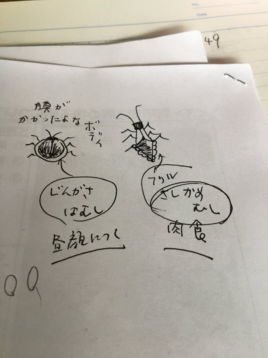 不動産屋さんとの話の行き違いが発覚。遥か遠い島の家賃滞納店子さんは電話に出てくれないので自己紹介を兼ねたショートメールを送ってみる。子と昨夜盛り上がった「最近気になる這うアミーゴ達」話の絵を見直してみたりして脱線。