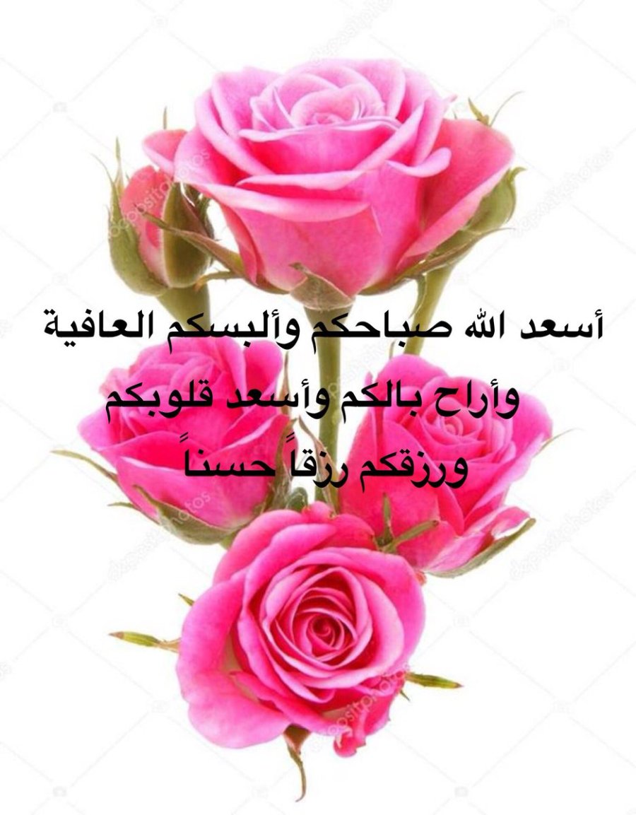 basrawi13129127's tweet photo. @LpmfAvwuOSAFxlU https://t.co/Qcywy8yK1w