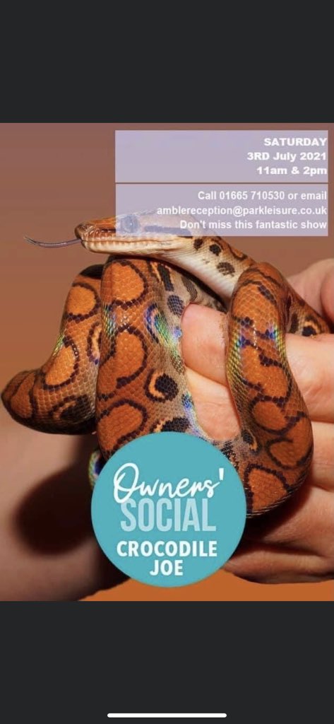CrocodileJoe's tweet photo. We are back 🤠🐊 ... it’s been a while Crocodile 🐊 I am so glad to be back on the road with @eventsincltd today and my Wild World Reptile Show for the owners at Amble Links Coastal Holiday Park .... finally getting back to what I love 🐊🐊🤠🤠 https://t.co/ZO6l1GEmjT