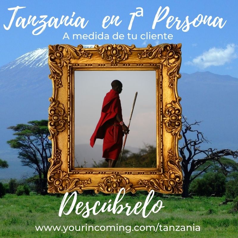 YReceptivos's tweet photo. Descubre nuestro nuevo receptivo en #tanzania. Fideliza a tus clientes y diferénciate de tu competencia. https://t.co/vm9j2tycBq
Solo en Your Incoming!!! https://t.co/cSDa8KlUWb