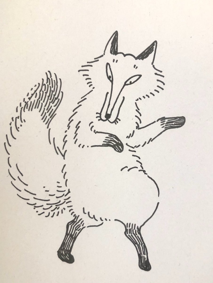 自分のしっぽに見惚れるキツネ 