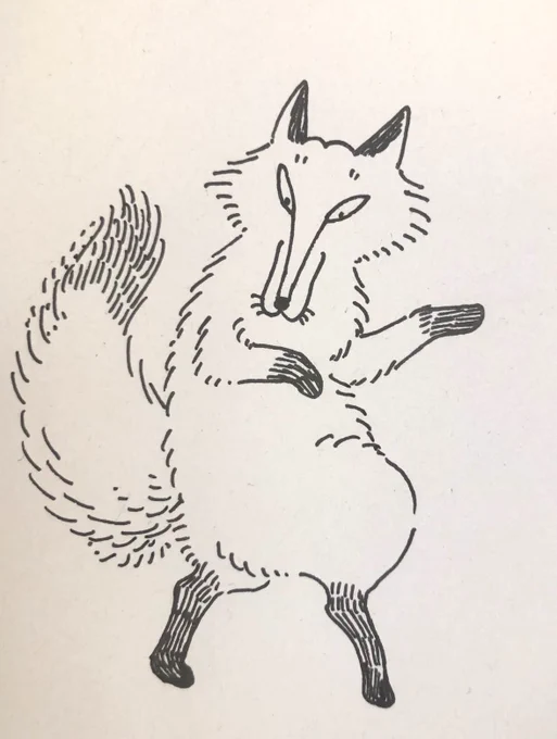 自分のしっぽに見惚れるキツネ 