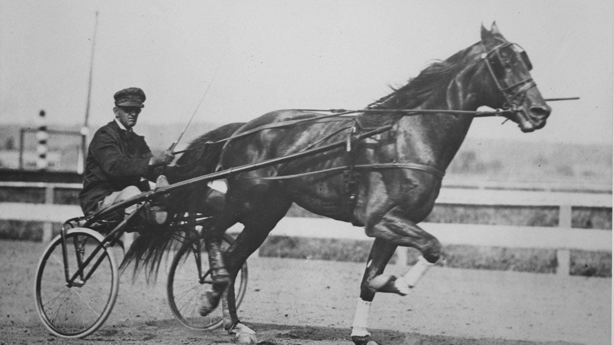 hoosiernations's tweet photo. #OTD 1914 4-year-old #SingleG driven by Muncie, IN reinsman Curt Gosnell. Wins 3 straight heats at Keeley Park, Jackson, MI.
Times--2:09 1/2, 2:09 1/4 (ties track record), 2:10 1/4
This was his 3 straight win on the Midwest Shortship stakes circuit
#HoosierLegend https://t.co/bLDc3segco